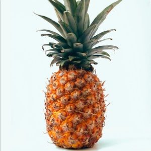 Meet your Posher, Zack